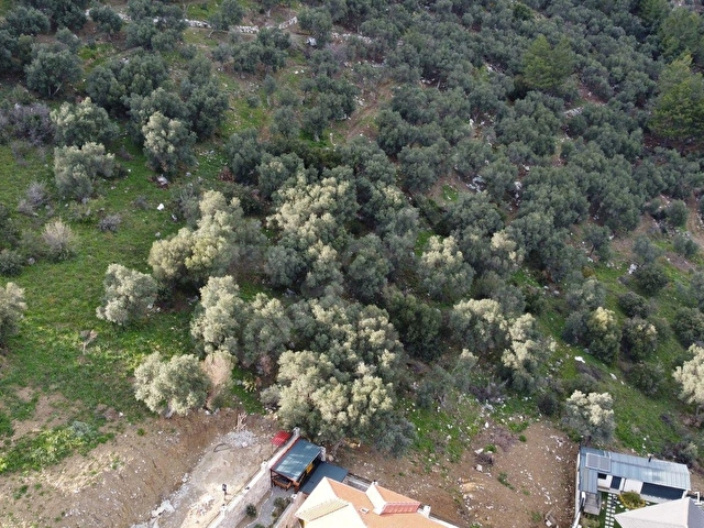 Atam Emlaktan Ortaca Sarıgermede Satılık %10 İmarlı 407 M2 Arsa - Görsel 23