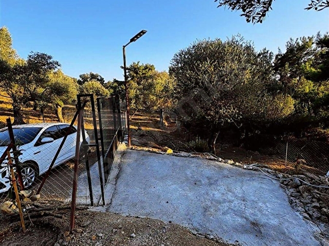 Seferihisar Beyler Köyün de Müstakil Tapulu Zeytinlik - Görsel 23