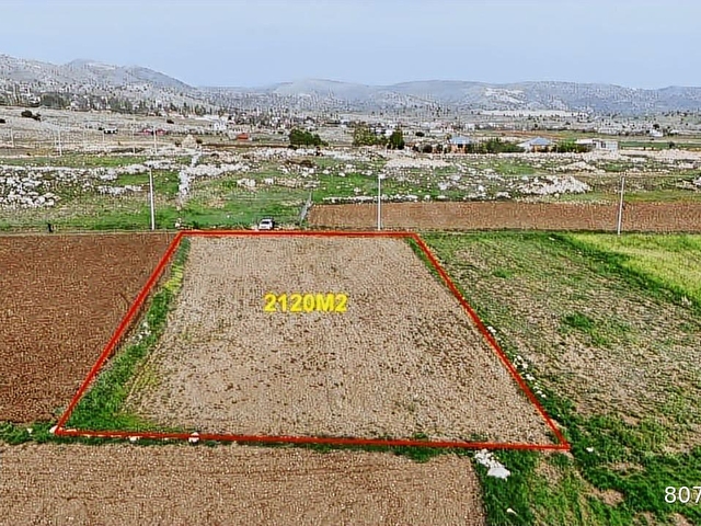 SARICALAR DAN TAŞKESİĞİ YAYLASIDAN MUHTEŞEM 2120 METRE ARAZİ - Görsel 11