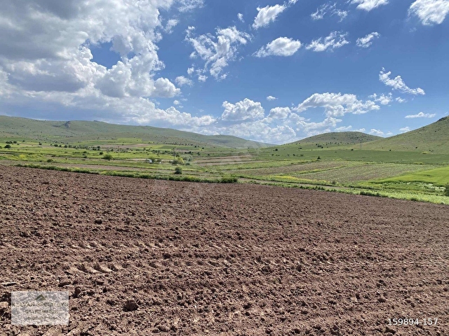 Mahzeminde Tek Tapu Evlere Yakın Tarla 7938 m2 - Görsel 11