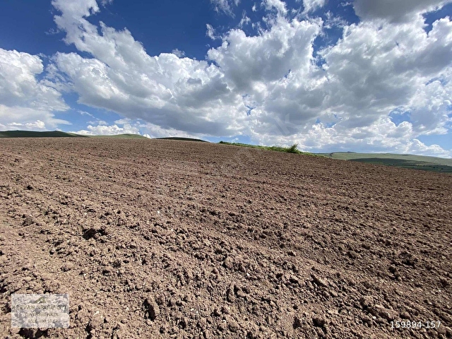 Mahzeminde Tek Tapu Evlere Yakın Tarla 7938 m2 - Görsel 19