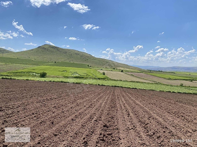 Mahzeminde Tek Tapu Evlere Yakın Tarla 7938 m2 - Görsel 8