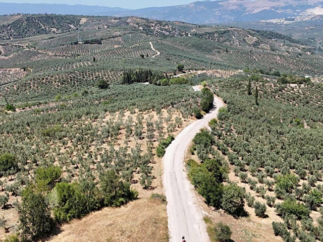 GEMLİK MURATOBA DA ANA ASFALTA CEPHE ARAZİ ARAÇ VE DAİRE TAKASLI - Görsel 20