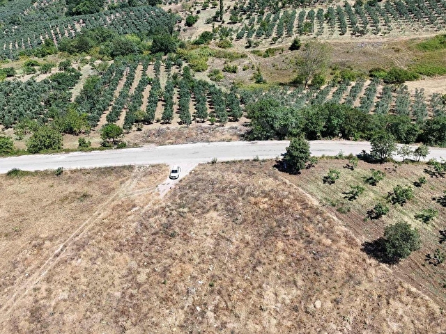 GEMLİK MURATOBA DA ANA ASFALTA CEPHE ARAZİ ARAÇ VE DAİRE TAKASLI - Görsel 12