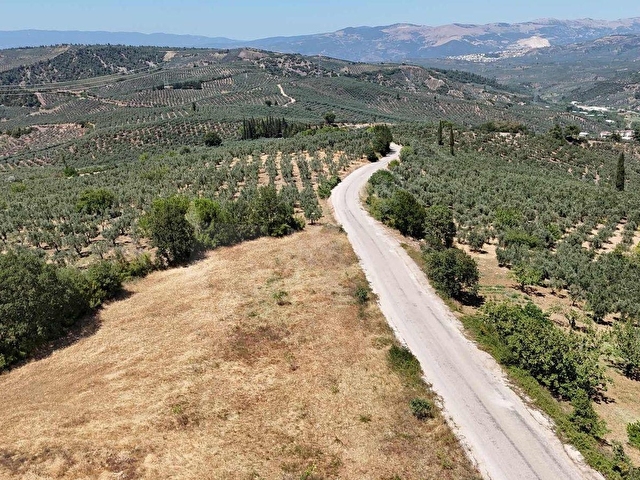 GEMLİK MURATOBA DA ANA ASFALTA CEPHE ARAZİ ARAÇ VE DAİRE TAKASLI - Görsel 23