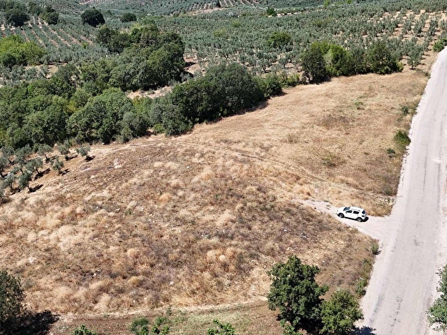GEMLİK MURATOBA DA ANA ASFALTA CEPHE ARAZİ ARAÇ VE DAİRE TAKASLI - Görsel 21