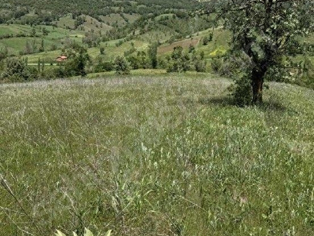 KEPSUT BÜKDERE KÖYÜN DİBİNDE SATİLİK 11575 M TARLA - Görsel 17