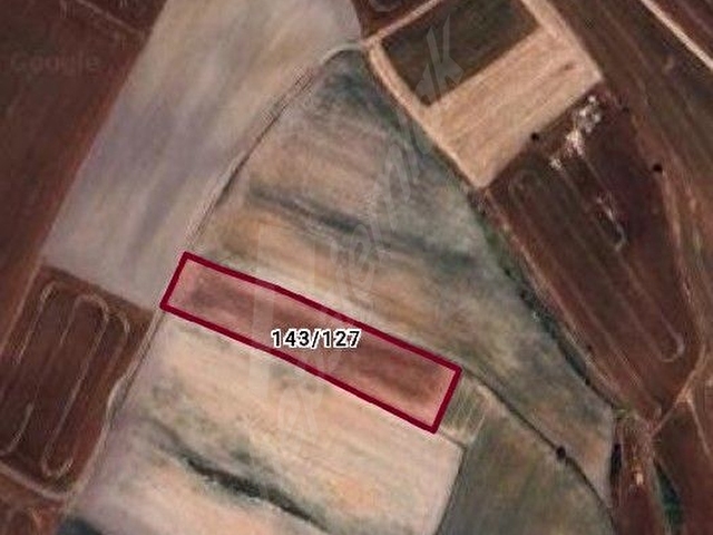 YANIKAĞILDA SAHİBİNDEN TEK TAPU TARLA 3.667mt CİDDİ DÜŞÜNENLER LÜTFEN - Görsel 3