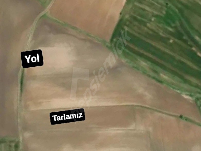YANIKAĞILDA SAHİBİNDEN TEK TAPU TARLA 3.667mt CİDDİ DÜŞÜNENLER LÜTFEN - Görsel 4