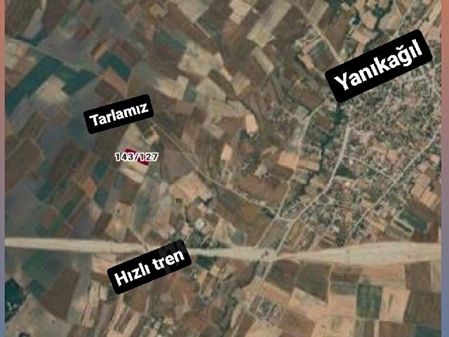 YANIKAĞILDA SAHİBİNDEN TEK TAPU TARLA 3.667mt CİDDİ DÜŞÜNENLER LÜTFEN - Görsel 5