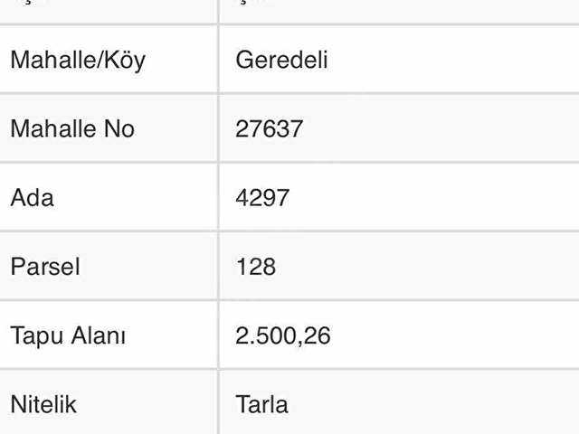 ŞİLE GEREDELİDE 2500m2 YOLA CEPHE MANZARALI FINDIK BAHÇESİ - Görsel 6