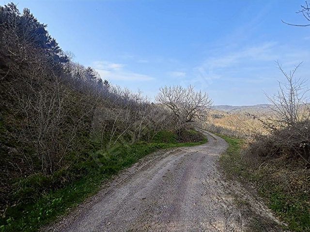 ŞİLE GEREDELİDE 2500m2 YOLA CEPHE MANZARALI FINDIK BAHÇESİ - Görsel 27