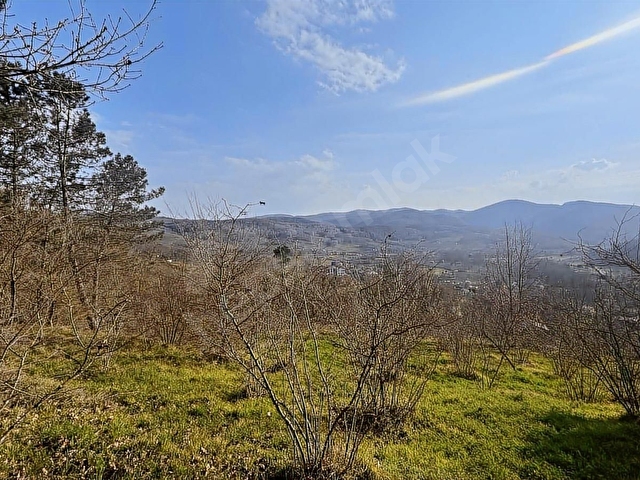 ŞİLE GEREDELİDE 2500m2 YOLA CEPHE MANZARALI FINDIK BAHÇESİ - Görsel 23