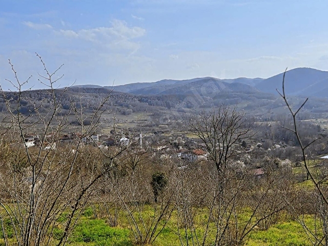 ŞİLE GEREDELİDE 2500m2 YOLA CEPHE MANZARALI FINDIK BAHÇESİ