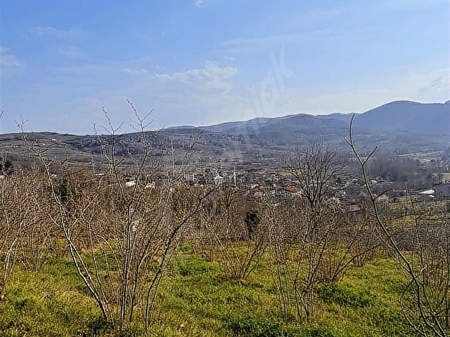 ŞİLE GEREDELİDE 2500m2 YOLA CEPHE MANZARALI FINDIK BAHÇESİ - Görsel 8
