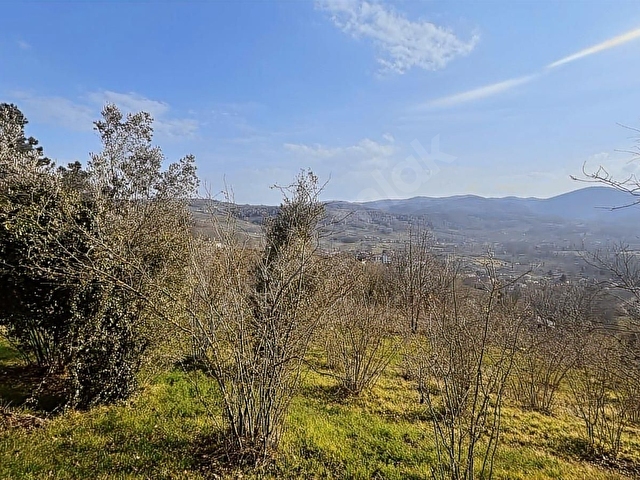 ŞİLE GEREDELİDE 2500m2 YOLA CEPHE MANZARALI FINDIK BAHÇESİ - Görsel 21