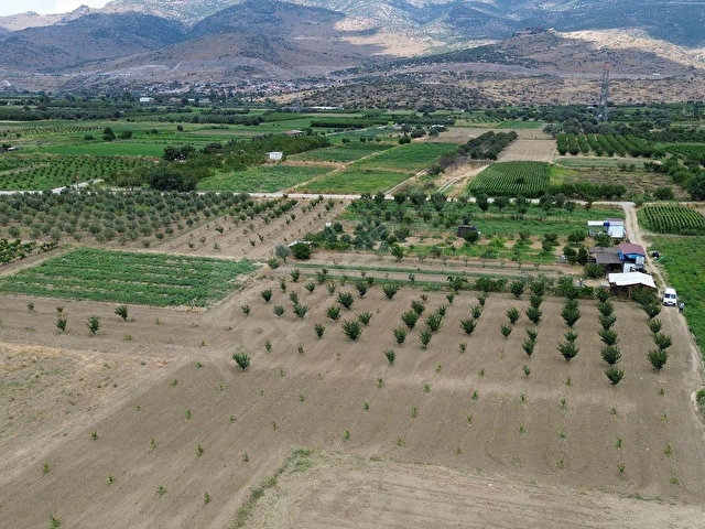 MENEMEN DOĞAKÖYDE SATILIK 1773 M2 TEK TAPU KAYISI BAHÇESİ - Görsel 17