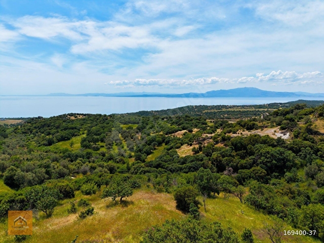 Çanakkale Ayvacık Büyükkhusunda 736 m² Köy İçi İmarlı Arsa - Görsel 4