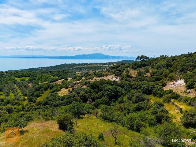 Çanakkale Ayvacık Büyükkhusunda 736 m² Köy İçi İmarlı Arsa - Görsel 2