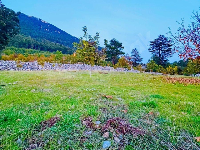 FETHİYE YAYLA KORU,DA SAÇLI GAYRİMENKUL’DEN SATILIK 1740 M2 VİLLA ARSASI - Görsel 16