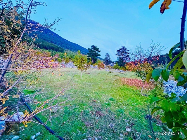 FETHİYE YAYLA KORU,DA SAÇLI GAYRİMENKUL’DEN SATILIK 1740 M2 VİLLA ARSASI - Görsel 21