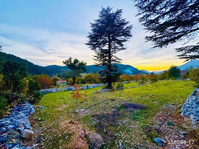 FETHİYE YAYLA KORU,DA SAÇLI GAYRİMENKUL’DEN SATILIK 1740 M2 VİLLA ARSASI - Görsel 15