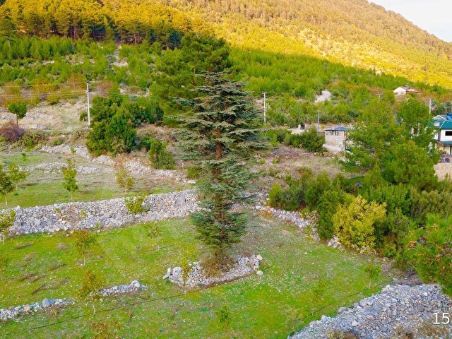FETHİYE YAYLA KORU,DA SAÇLI GAYRİMENKUL’DEN SATILIK 1740 M2 VİLLA ARSASI