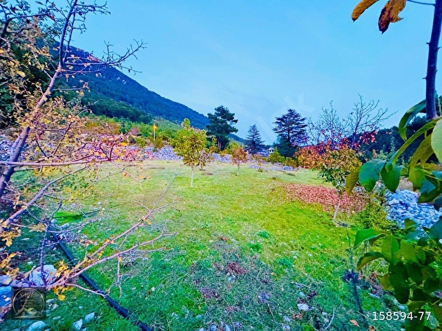 FETHİYE YAYLA KORU,DA SAÇLI GAYRİMENKUL’DEN SATILIK 1740 M2 VİLLA ARSASI - Görsel 18