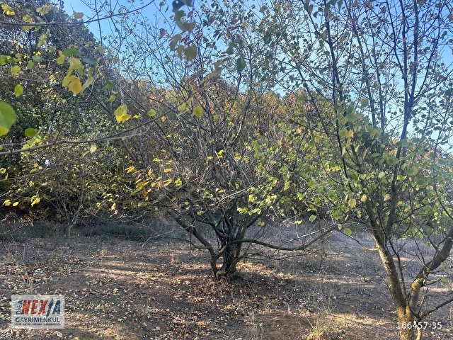 Çanakkale Biga İskender köyde 1310 m2 satılık tarla - Görsel 4
