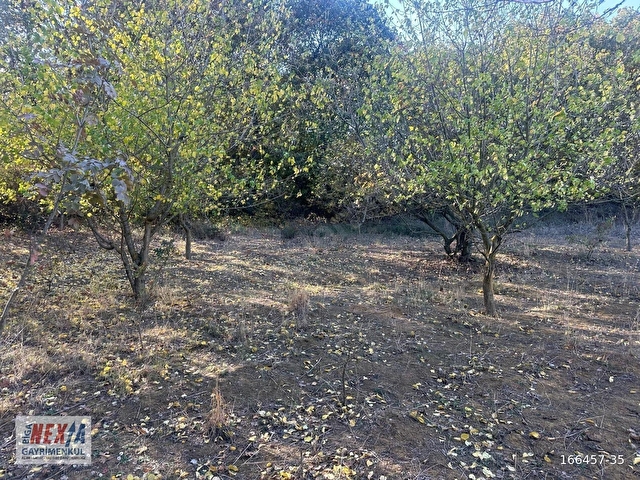 Çanakkale Biga İskender köyde 1310 m2 satılık tarla - Görsel 6