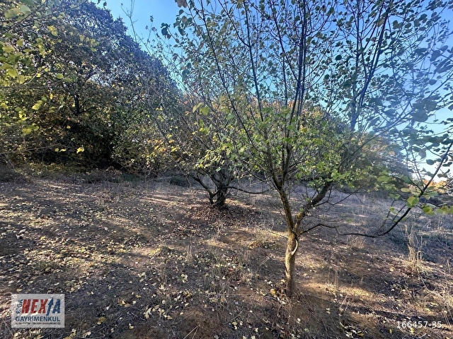 Çanakkale Biga İskender köyde 1310 m2 satılık tarla - Görsel 3