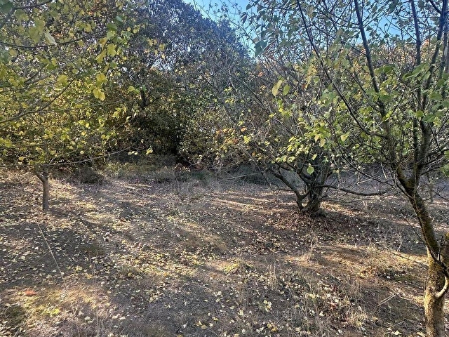 Çanakkale Biga İskender köyde 1310 m2 satılık tarla - Görsel 5