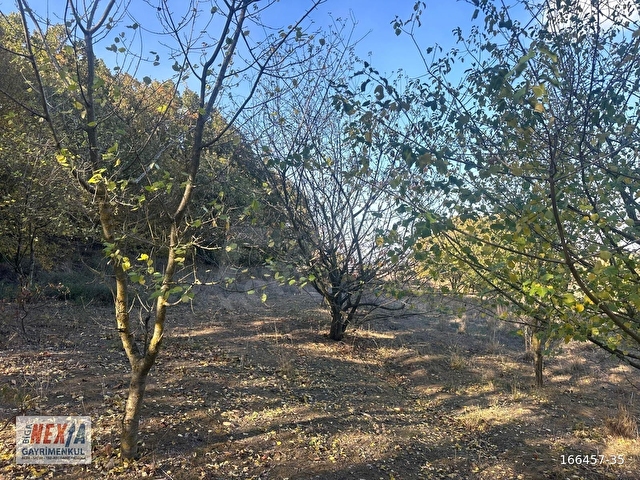 Çanakkale Biga İskender köyde 1310 m2 satılık tarla - Görsel 9