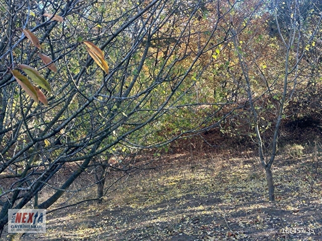 Çanakkale Biga İskender köyde 1310 m2 satılık tarla - Görsel 10
