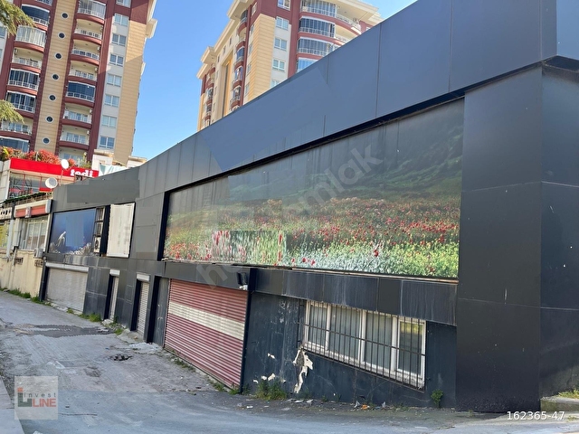 İSTİNYE LİV ÜNİ.HASTANESİNİN TAM KARŞISINDA 400M2 KİRALIK DÜKKAN - Görsel 15