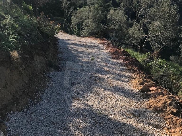 ÇANAKKALE AYVACIK ADATEPEDE SATILIK ZEYTİNLİK - Görsel 5