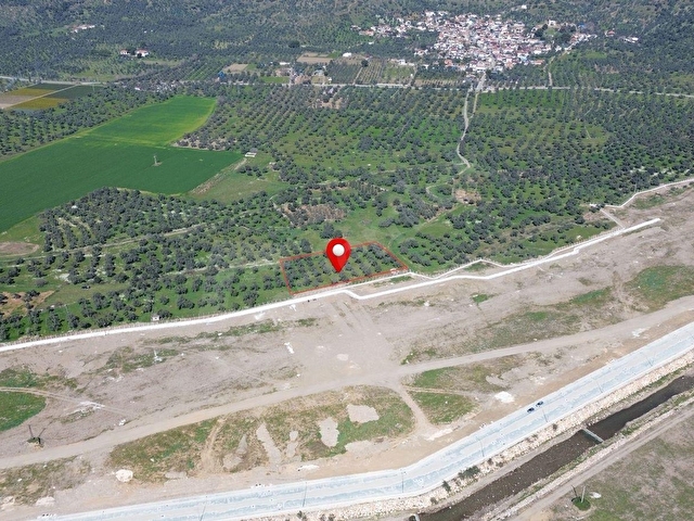 BAYINDIR OSB CEPHELİ 3.700m² ZEYTİNLİK