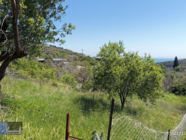 MAVİ BONCUKTAN 417 Mt2 Bağ Vasıflı Tarla, Köy Merkezine Yakın - Görsel 23