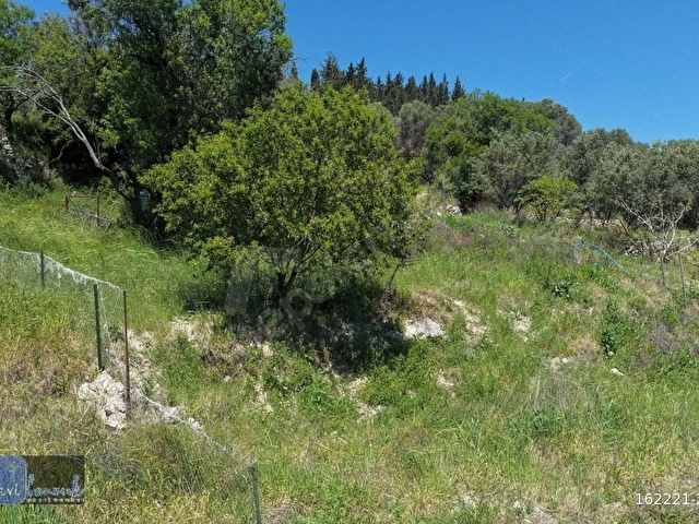 MAVİ BONCUKTAN 417 Mt2 Bağ Vasıflı Tarla, Köy Merkezine Yakın - Görsel 24