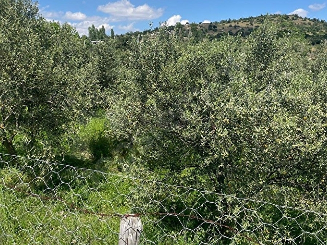 yatırımlık kupon yer - Görsel 9