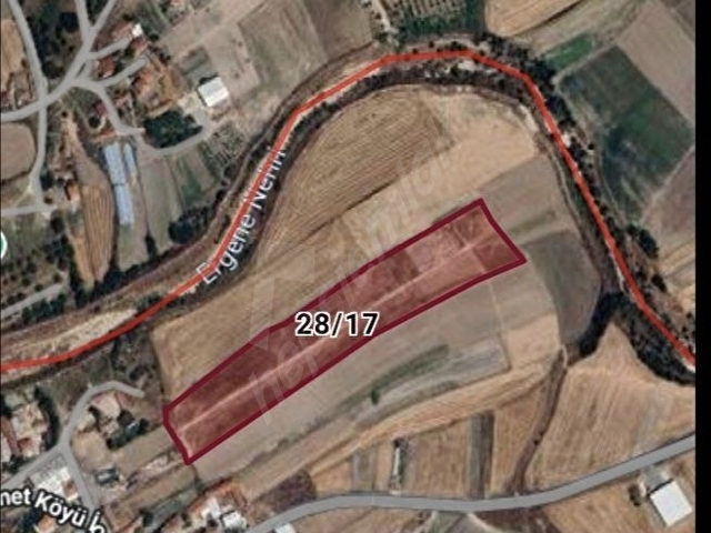 Tekirdağ Ergene imar sınırı içinde 1490 m² arsa, etrafı çevrili.