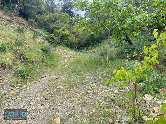 KOÇARLI / TIĞLILAR MAHALLESİNDE YOLA CEPHELİ 604 M2 ARSA! - Görsel 10