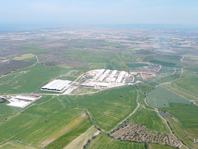 Çanakkale Ezine Üvecik Köyünde 216 Dönüm Tek Parça Tarla - Görsel 17