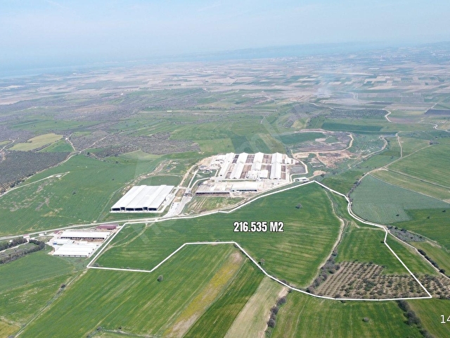 Çanakkale Ezine Üvecik Köyünde 216 Dönüm Tek Parça Tarla - Görsel 6