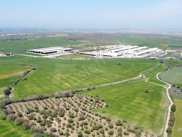 Çanakkale Ezine Üvecik Köyünde 216 Dönüm Tek Parça Tarla