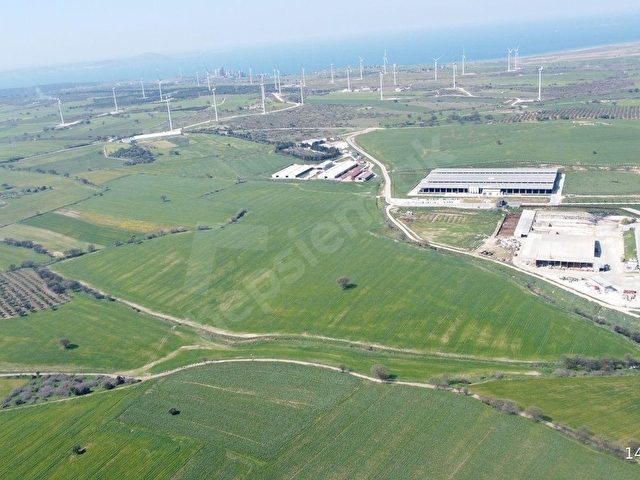 Çanakkale Ezine Üvecik Köyünde 216 Dönüm Tek Parça Tarla - Görsel 13