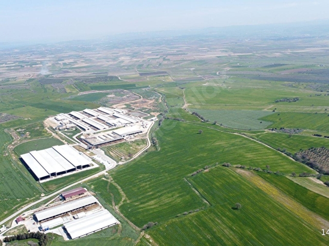 Çanakkale Ezine Üvecik Köyünde 216 Dönüm Tek Parça Tarla - Görsel 20