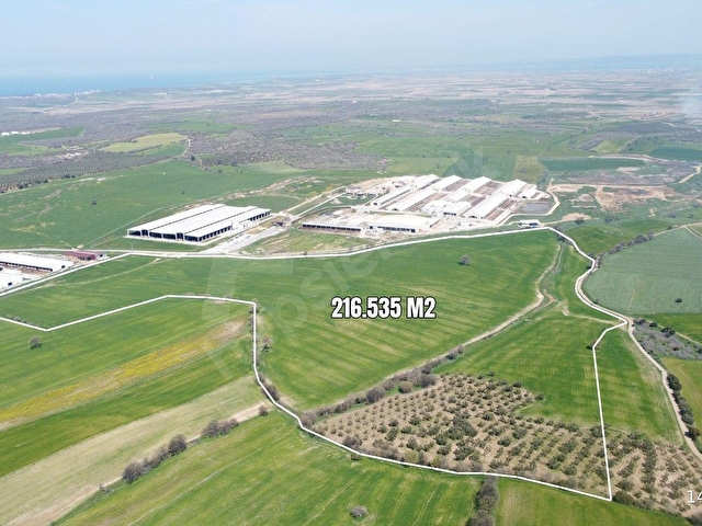 Çanakkale Ezine Üvecik Köyünde 216 Dönüm Tek Parça Tarla - Görsel 5