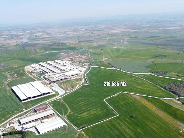 Çanakkale Ezine Üvecik Köyünde 216 Dönüm Tek Parça Tarla - Görsel 7