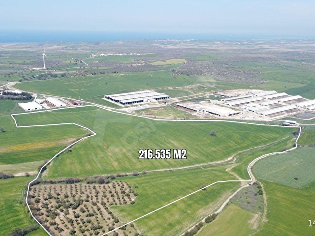 Çanakkale Ezine Üvecik Köyünde 216 Dönüm Tek Parça Tarla - Görsel 4
